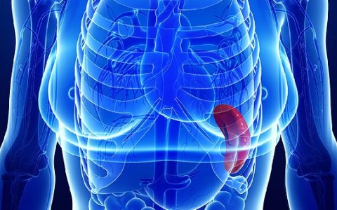 生理性脾大需要治疗吗