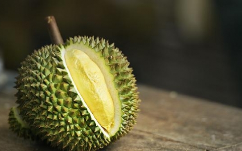 肾脏损伤吃什么食物能好得快呢