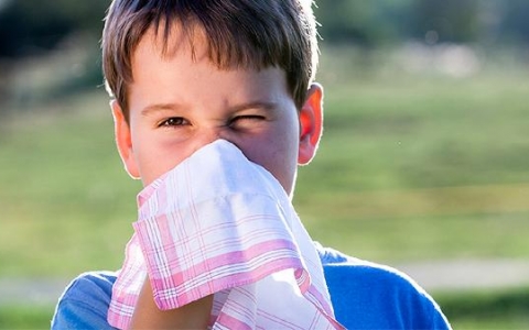 风热感冒的儿童药