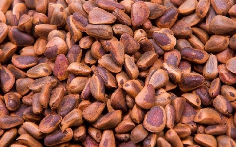 肾慢性衰竭可以吃哪些食物好