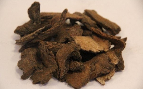 促进视网膜恢复的药物