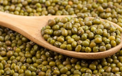 绿豆大的皮脂腺囊肿怎么办