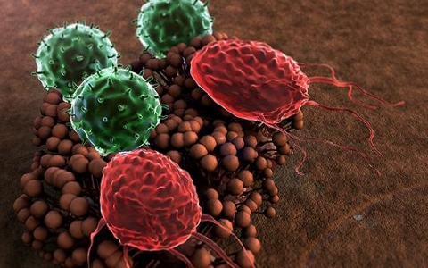 鼻腔囊肿术后吃什么