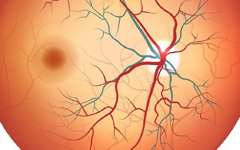 鼻腔囊肿会不会自行消失