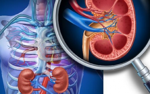 肾结核切除术后多久可以下床