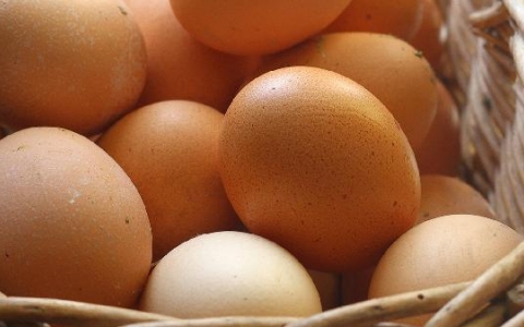 鸡蛋和鸡胸肉哪个更利于减肥效果好