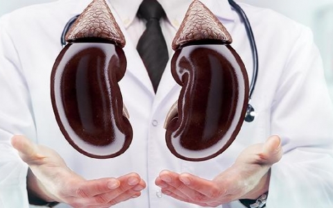 肾囊肿形成的原因是什么引起的