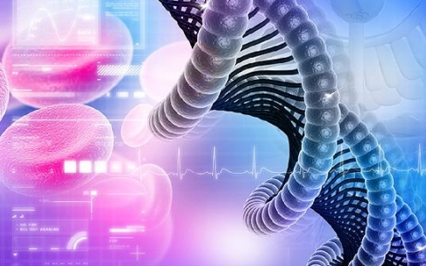 疣病毒能不能彻底治疗需要多少钱治好