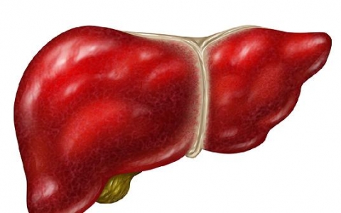 浸润性腺癌早期手术后能根除吗