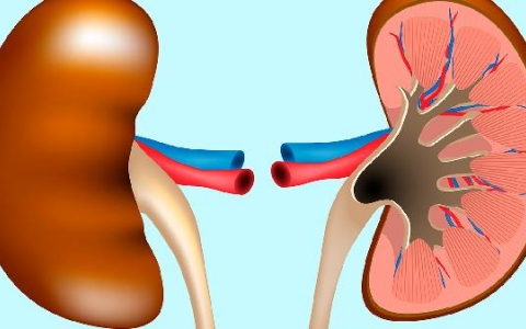 肾囊肿能不能喝酒抽烟喝茶