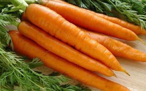 女性补血吃菠菜红枣黑豆胡萝卜可以吗