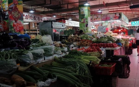 胖子吃什么蔬菜减肥最有效