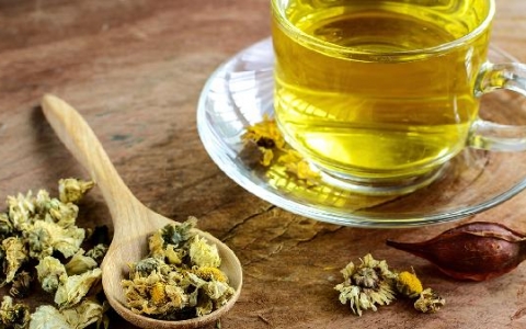 春天喝什么菊花茶养肝护肝