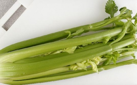 芹菜汁降血压的原理是什么