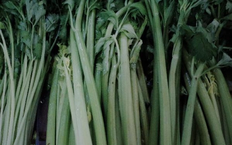 芹菜汁降血压正确吃法一天喝几次合适