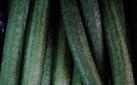抗癌蔬菜有哪些可以一起榨汁
