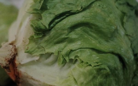 青菜瘦肉粥的做法用高压电饭锅