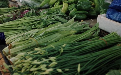 控血糖吃什么主食蔬菜最佳