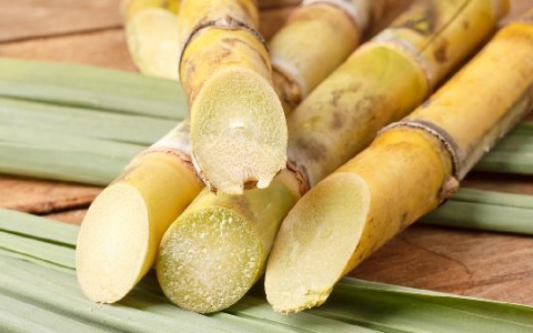 喉咙痛发低烧吃什么食物比较好
