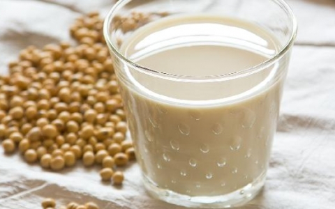 春季吃什么食物养胃效果好