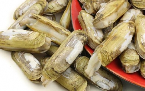 肺结节吃什么食物散结节最快肺结节