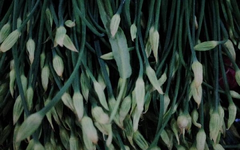 给宝宝做蔬菜汁需要把蔬菜汁煮熟吗