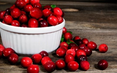 什么食物补气补血最快最好