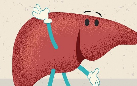 脂肪肝的人吃什么食物消除脂肪肝