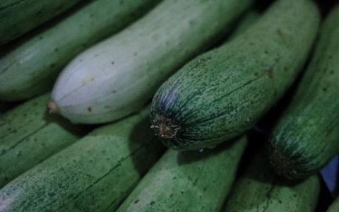 生菜黄瓜鸡蛋可以一起吃吗