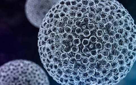肿瘤和癌症的区别在哪里细胞生物学