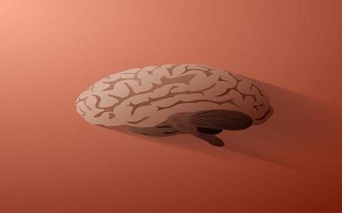 肿瘤标志物中铁蛋白升高是什么意思