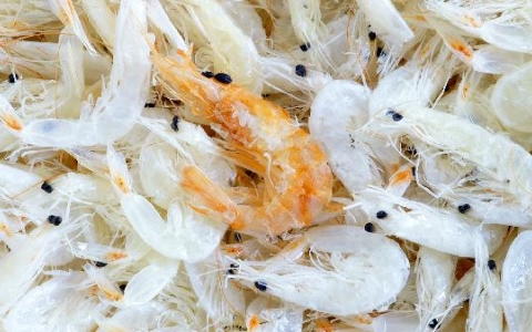 增加记忆力可以吃什么食物
