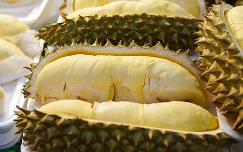 如何快速去除家里的榴莲味