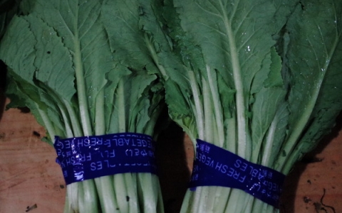 常吃圆白菜有7大好处 圆白菜有哪些营养
