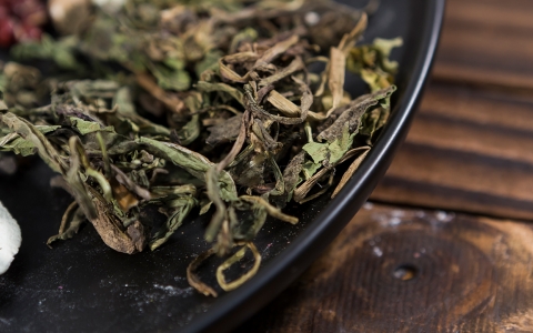 蒲公英泡水喝的方法 蒲公英能治疗哪些病症