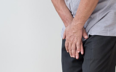 阴茎勃起硬度不够是阴虚还是阳虚