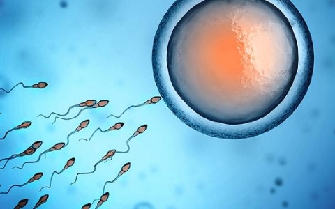 精子里面有胶状物是怎么回事