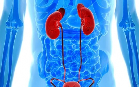 肾囊肿微创手术多久能下床行走