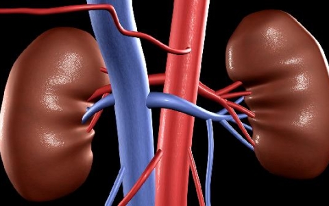 肾囊肿怎样治疗好得快一点