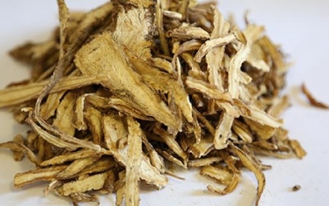 为您介绍女人吃当归的补血功效