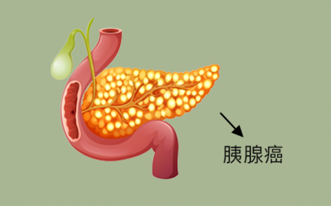 0型血和ab型血生的孩子是什么血型?