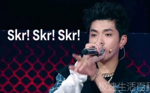 skr什么意思