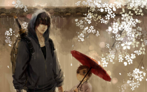 藏海花讲的什么