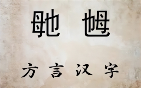 鏚鏚乸鏚成语什么意思_鏚鏚乸鏚的读音