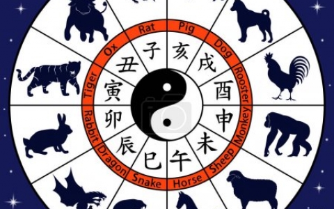 一春一秋不开花是什么生肖