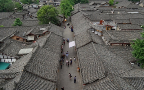 阆怎么读_阆字读音的具体分析